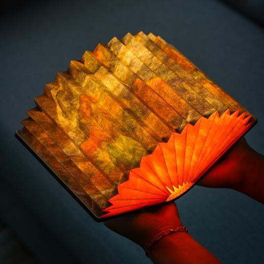 The National Gallery大师高更窗前果盘和酒杯纸书灯氛围灯 商品图2