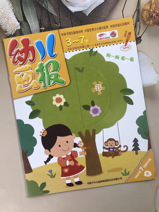 幼儿画报 （全年共12期，36本） 商品图5