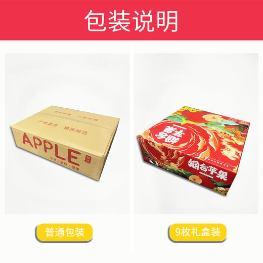 烟台红富士苹果5斤装脆甜 商品图4
