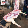 原衢味高山土猪肉 商品缩略图3