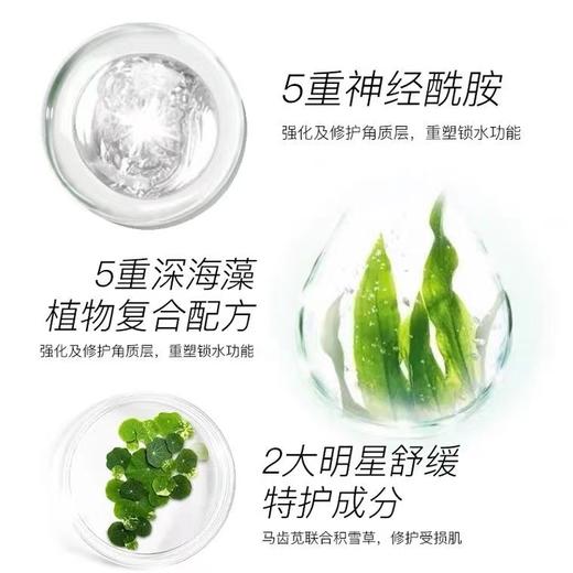 安科丽舒缓修护润透膜5片/盒 商品图2