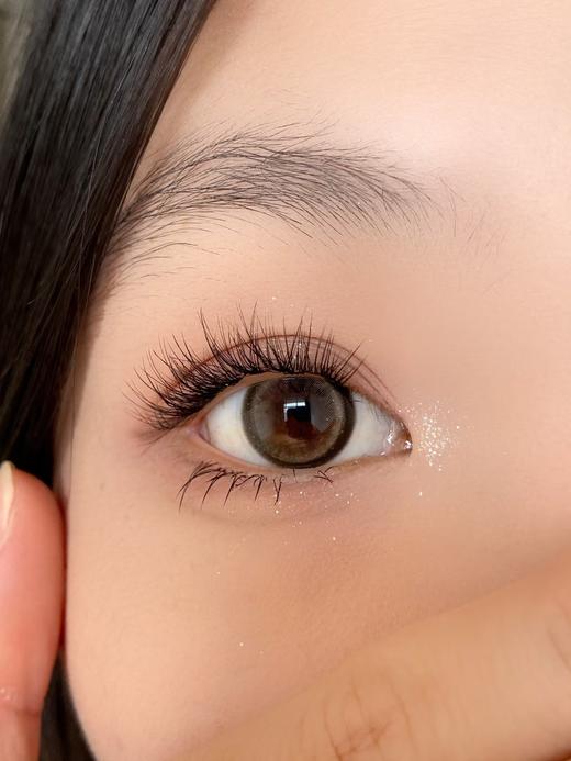 Kaylens日抛新品-柔水玉棕10p/盒 商品图8