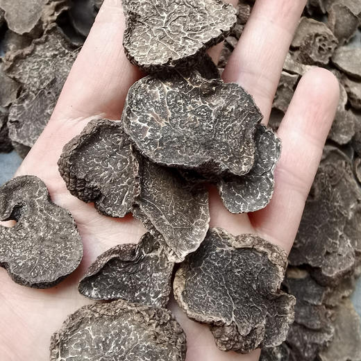 黑松露干片 商品图2