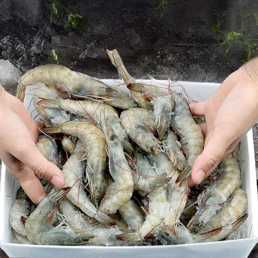 桑塔盐冻大虾毛重4斤，净重3.5斤，20-30规格，人工挑选，速冻锁鲜技术，保证虾的新鲜和口感，全国包邮 商品图4