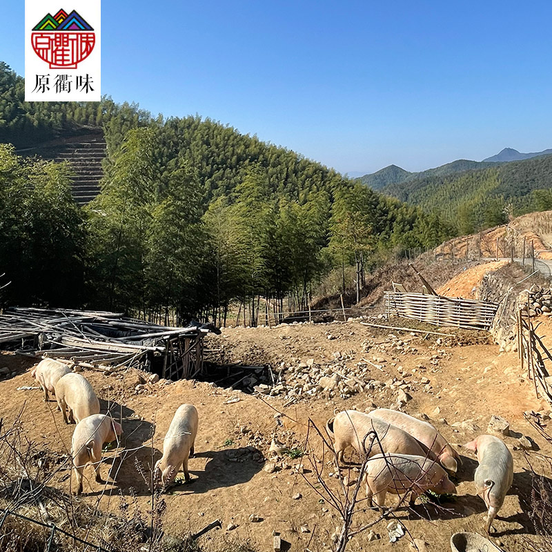 原衢味高山土猪肉