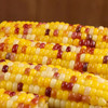 五彩鲜玉米｜非转基因 科学生态种植 糯甜比例堪称完美 颗粒饱满如珍珠 低脂低卡 富含膳食纤维 方便快手 冰鲜鲜玉米 商品缩略图8