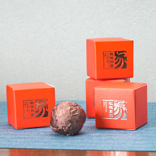 大家系列丨2010年 团圆 陈年白牡丹 30*5g盒 商品图4