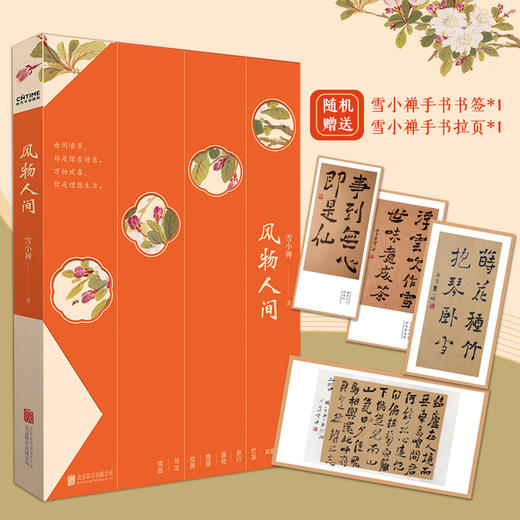 【当代人的生活美学】《雪小禅三部曲》（3册套装），讲日常平凡美好的小事过得活色生香有滋有味。 商品图9