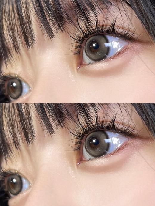 Kaylens日抛新品-暖咖黑灰10p/盒 商品图2