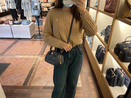 降价了！只要🇺🇸1180直邮！Coach新款Sydney 香布雷馒头包 商品图5