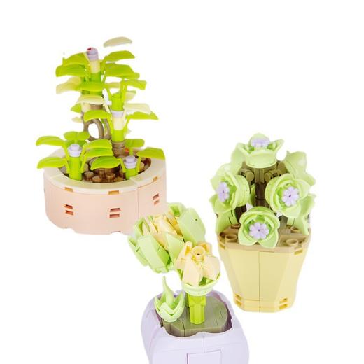 【不会凋谢的花朵积木】佳奇JAKI多肉盆栽积木 永生花节日礼物 给生活多点艺术 商品图4