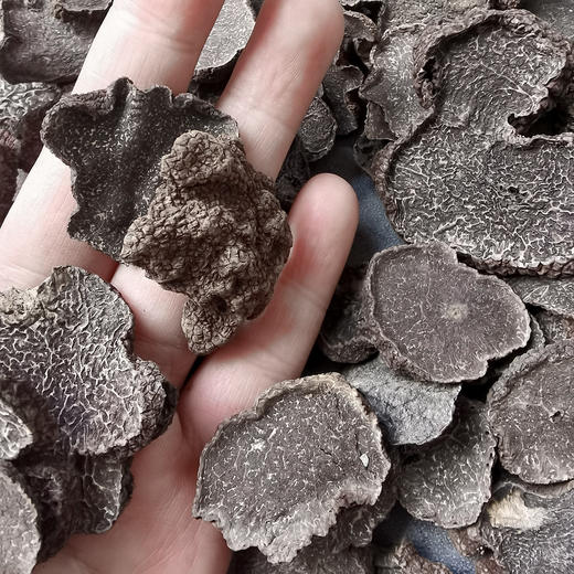 黑松露干片 商品图0