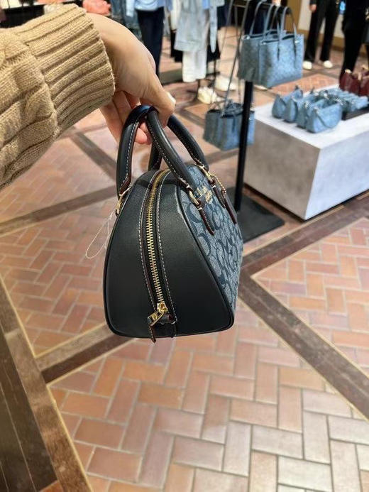 降价了！只要🇺🇸1180直邮！Coach新款Sydney 香布雷馒头包 商品图1