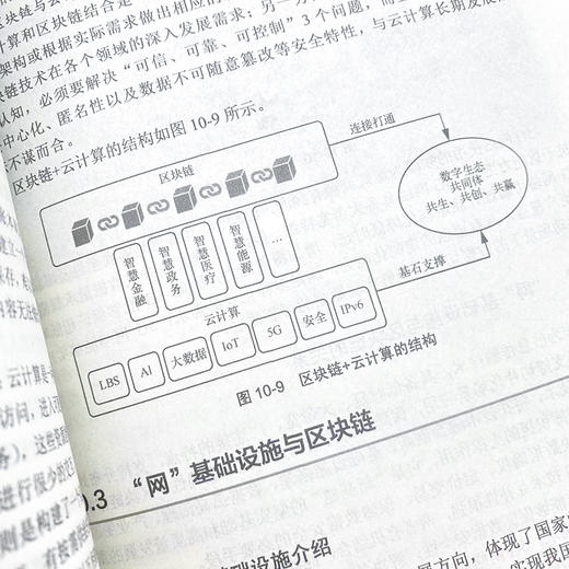 链上新经济 链上新治理—区块链技术原理与应用 经济数智化转型云网链计算机互联网区块链底层技术 数字经济区块链原理书籍 商品图3