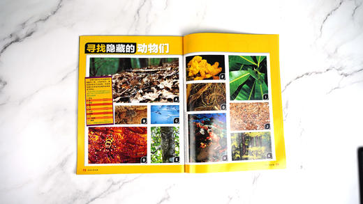 环球少年地理  典藏版 2022 商品图7