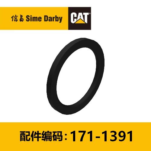 D形密封圈(1711391) 商品图0