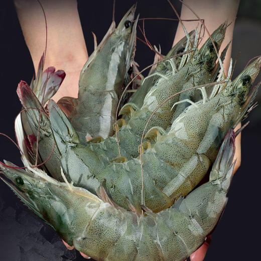 桑塔盐冻大虾毛重4斤，净重3.5斤，20-30规格，人工挑选，速冻锁鲜技术，保证虾的新鲜和口感，全国包邮 商品图3