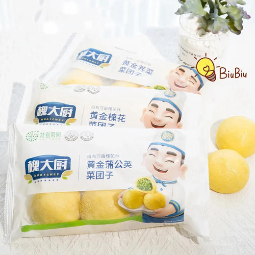 槐花/蒲公英/荠菜团子 | 精选优质原料制作野菜包子 清甜香糯 细腻无杂质 快手早餐必备 一口吃掉整个春天 商品图2