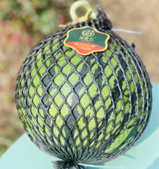 翡翠蒂升级版翡翠年华无籽西瓜，脆甜好吃，皮薄多汁，口感脆爽，甜蜜至极	个个优质精挑细选无籽大西瓜，带您体验最高端的西瓜品质。 商品图5
