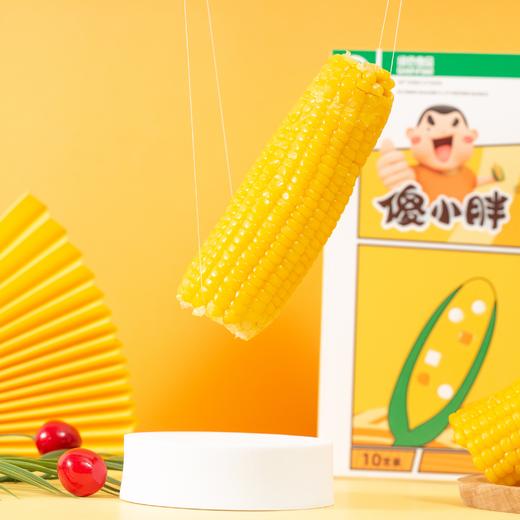 1小时锁鲜！香甜糯嫩【傻小胖鲜玉米】 颗粒饱满有嚼劲 老人孩子都爱吃！北纬40° 非转基因 〜 商品图0