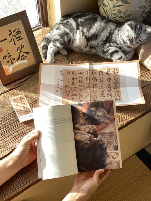 【当代人的生活美学】《雪小禅三部曲》（3册套装），讲日常平凡美好的小事过得活色生香有滋有味。 商品图6