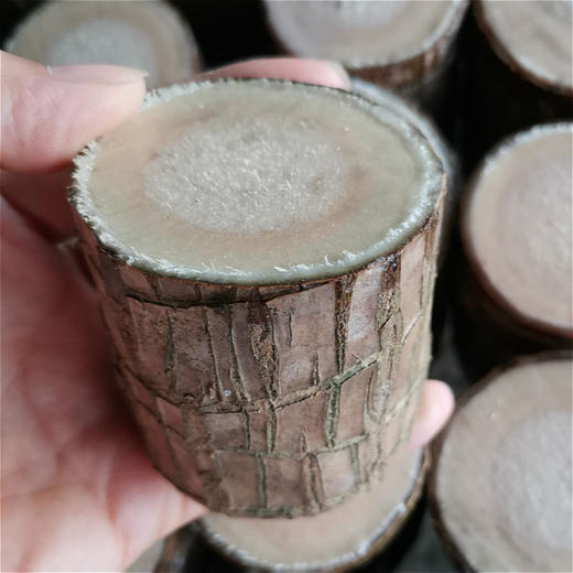 【点这里】巴西木水养格鲁特绿植盆栽 商品图13