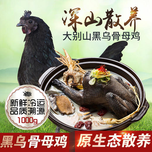 壹号餐桌F7级乌骨母鸡1000g冻品~ 商品图0