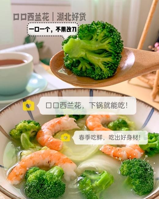 口口西蓝花🥦➕鲜嫩娃娃菜🥬春光乍现组合 商品图3