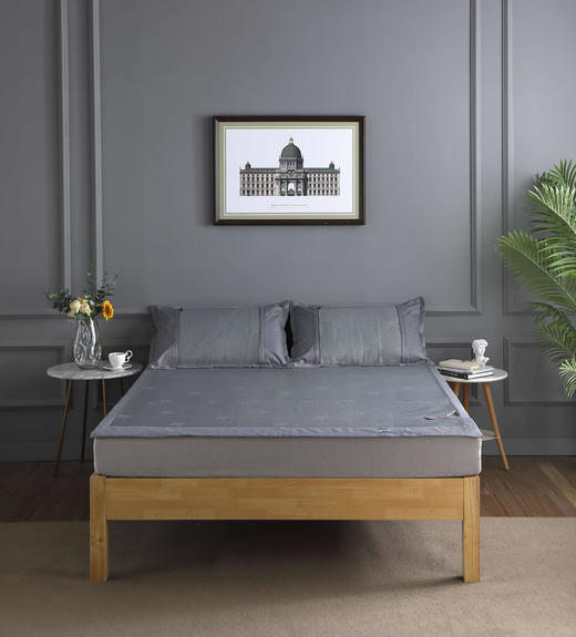 冰冰柔清凉席二件套 商品图1