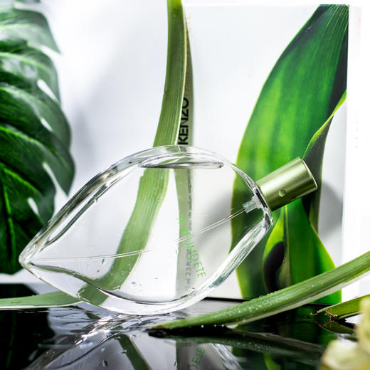 高甜贤3  叶子    EDP Kenzo Parfum d'Ete 分装 商品图4