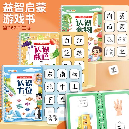 【斗半匠】识字启蒙书宝宝撕拉书幼儿识字卡片 商品图1