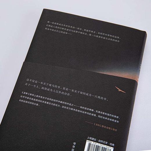 游隼 商品图2