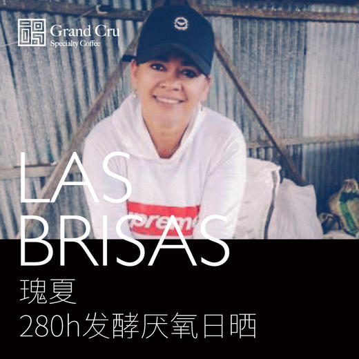 22/23年产季 | 哥伦比亚微风庄园｜280h发酵厌氧日晒瑰夏生豆 商品图0