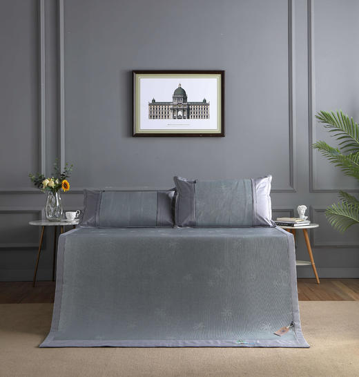 冰冰柔清凉席二件套 商品图4