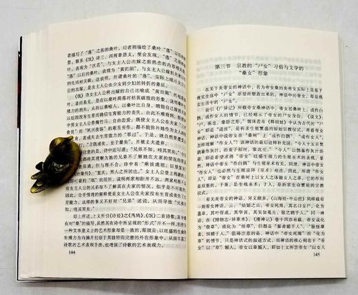 溢价：《文化整合与先秦自然神话演变》，李立著，云南人民出版社2002年版，314页，定价23.5元，售价48元。非偏远地区包邮。品相9成。 商品图10