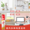 彩虹杀虫气雾剂宁柠檬500ml 商品缩略图5