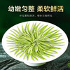 【2025年新茶！下单立即发货】悠谷春 早春碧螺春 250g/罐（天猫同款） 商品缩略图4