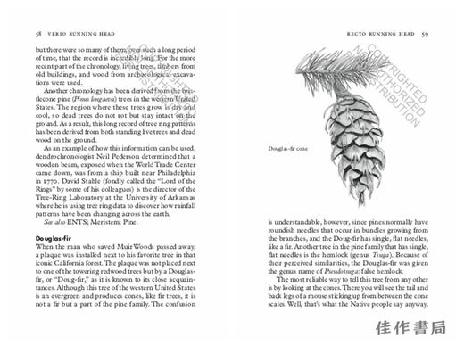 Treepedia: A Brief Compendium of Arboreal Lore / 树百科：树木知识简编 商品图4