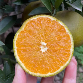 秭归黑美人棕橙，果肉细腻，清甜多汁，百分之99的人没有吃过~