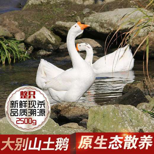 壹号餐桌土鹅冻品~ 商品图1