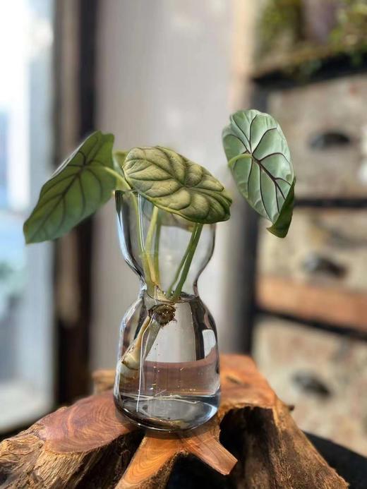 宜家 淡灰色迷你小花瓶10 商品图1