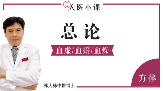 [1/2] 总论、血虚/血瘀/血燥 商品图0