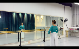 林老师《青城山下白素贞》分解视频