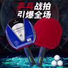 何大屋精彩乒乓球拍HDW1720 商品缩略图0