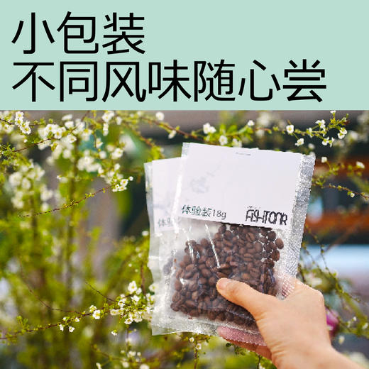 18g体验装 精品咖啡豆尝鲜装 商品图1