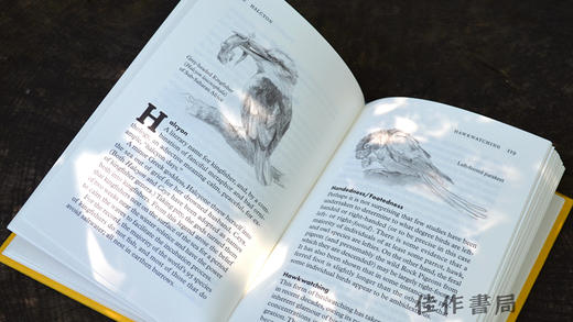 Birdpedia: A Brief Compendium of Avian Lore / 鸟类百科：鸟类知识简编 商品图2