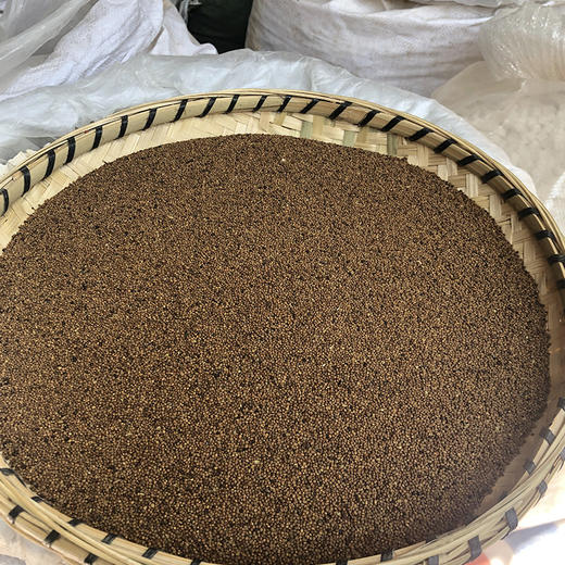 菟丝子 粒粒饱满，圆润质实，吐丝率高 常用规格 商品图2