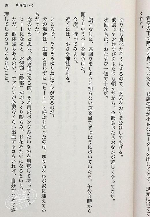 【中商原版】出门买蛋去 小川系 小川糸 日本文学 日文原版 卵を買いに 幻冬舎文庫 商品图7