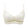 都市丽人自然舒适内衣AB薄3/4杯蕾丝文胸三排树脂胶圈LB32A3 商品缩略图3