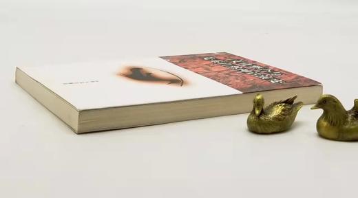 溢价：《文化整合与先秦自然神话演变》，李立著，云南人民出版社2002年版，314页，定价23.5元，售价48元。非偏远地区包邮。品相9成。 商品图2